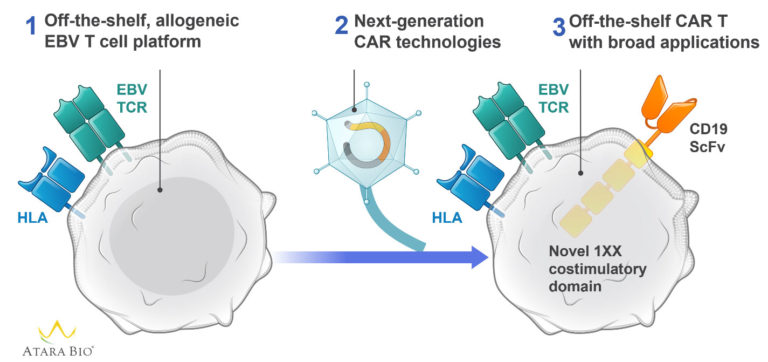 ATA3219 - Atara Biotherapeutics